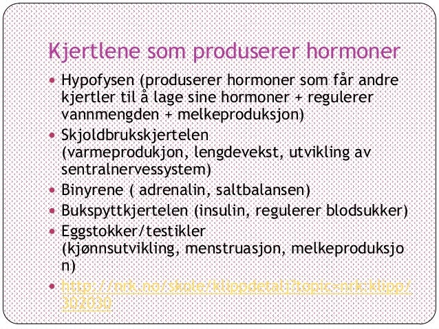 saltbalansen i kroppen